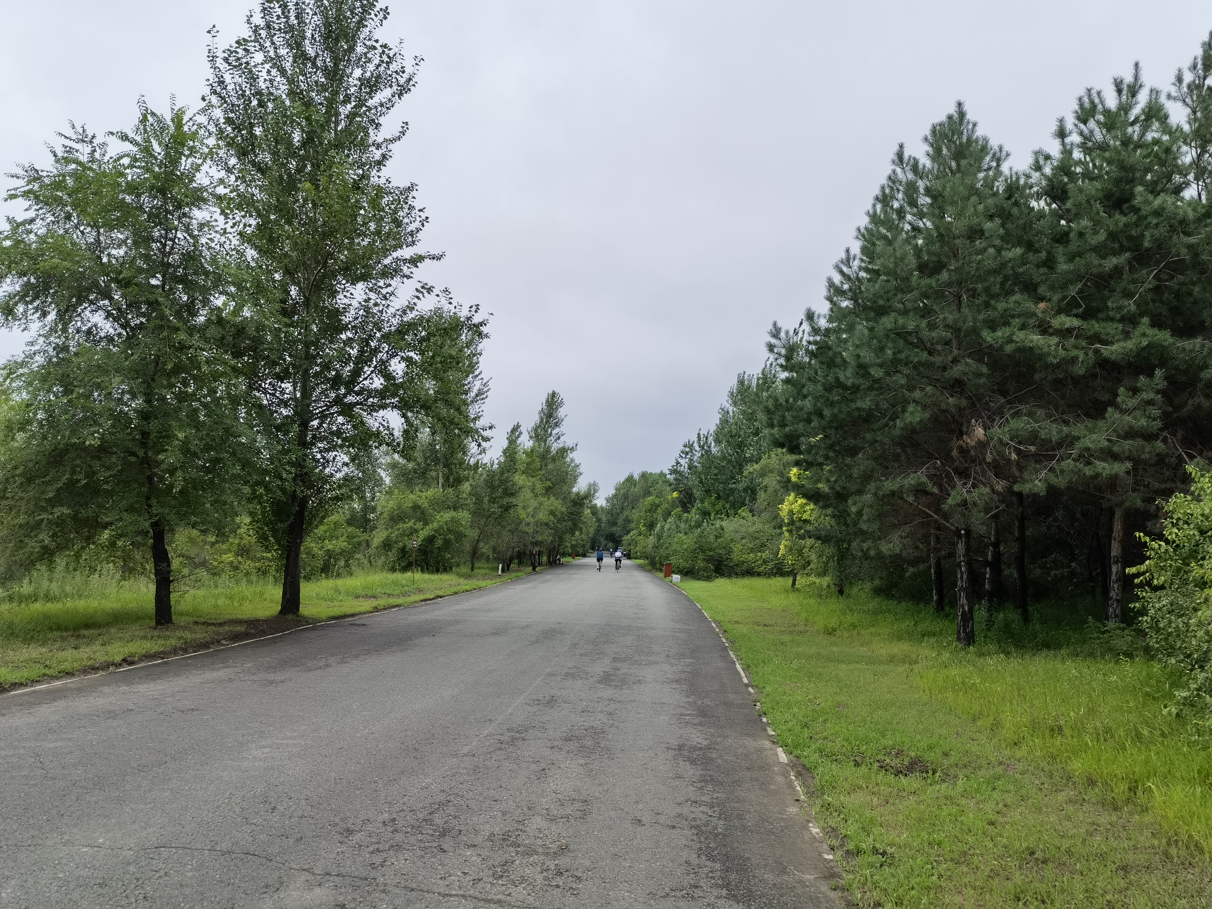 Jiuyou Sports-关于社区盾今晚走向成谜，多特蒙德战术微调，话题不断，训练强度明显提升的信息