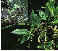 九游体育官网-睐睇眚睐睇眚傻遭眦璨iuytuy